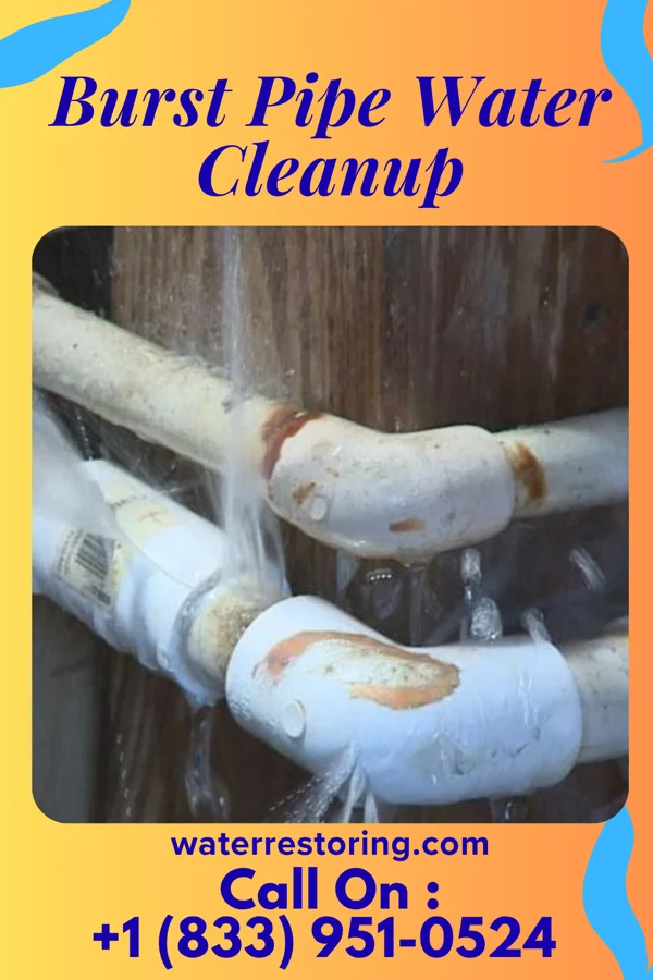 Burst Pipe Water Cleanup in Woodsdale, OH