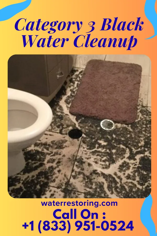 Category 3 Black Water Cleanup in Woodsdale, OH
