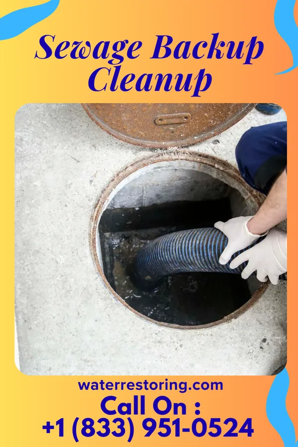 Sewage Backup Cleanup in Woodsdale, OH