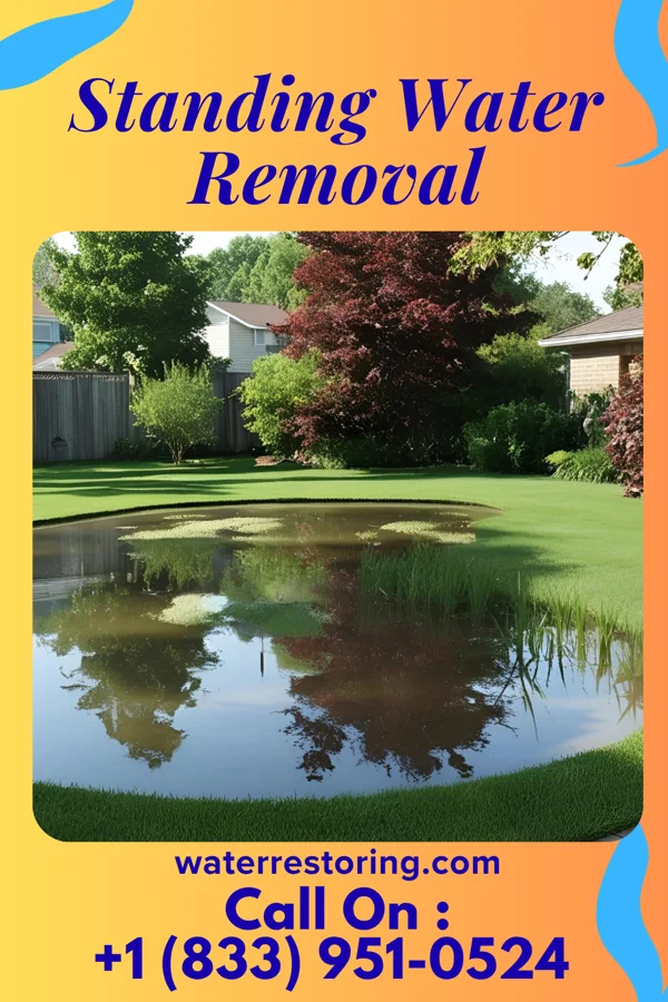 Standing Water Removal in Woodsdale, OH